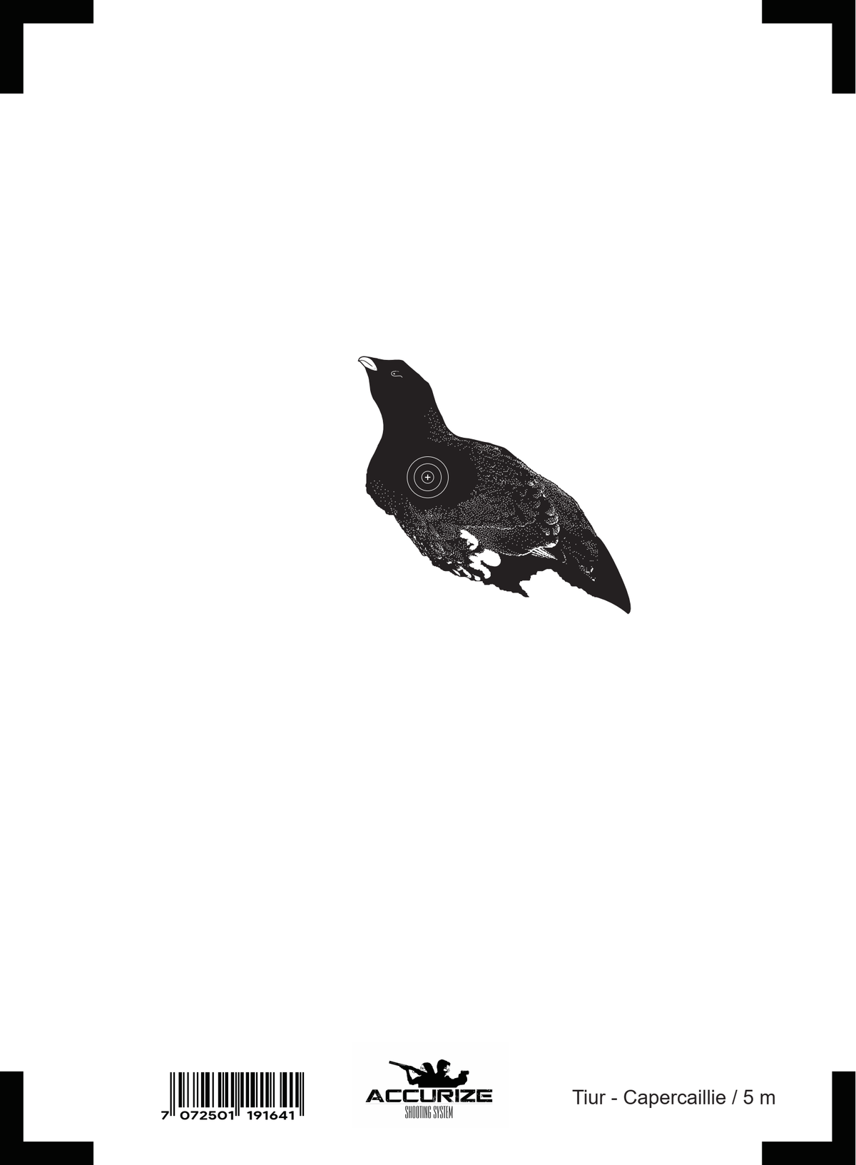Front target Capercaillie /5 m Main image